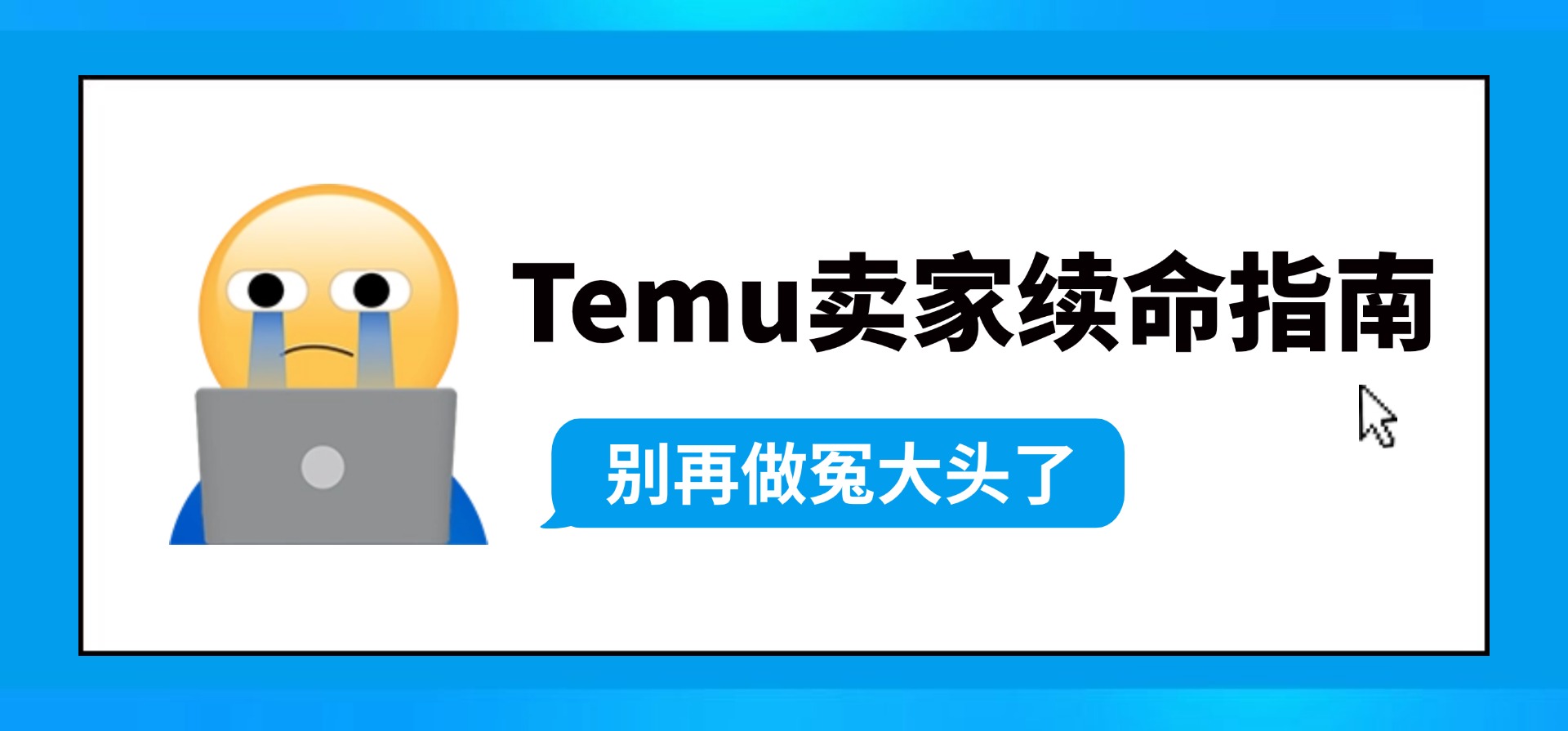 TEMU全托管利润核算