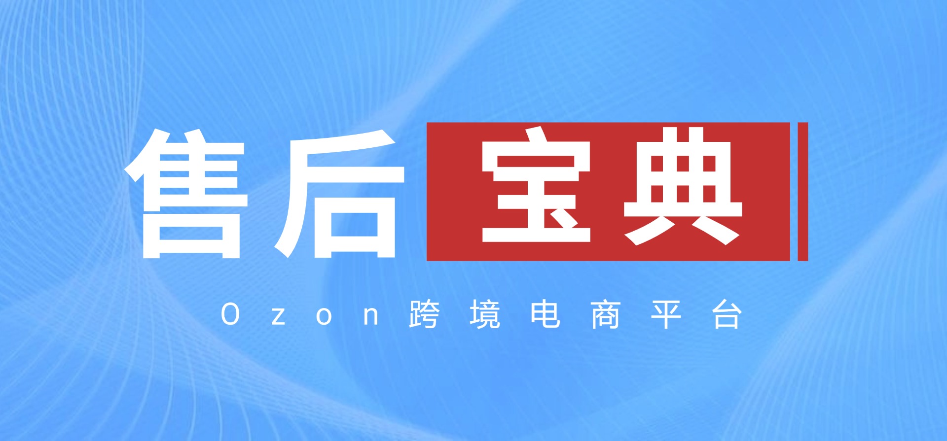 Ozon售后技巧