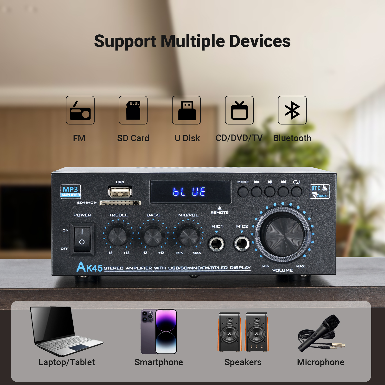 NEOHIPO H1 USB DAC Amplifier Desktop Amp Audio Hi-Fi with Treble & Bass  Switch : : Electronics