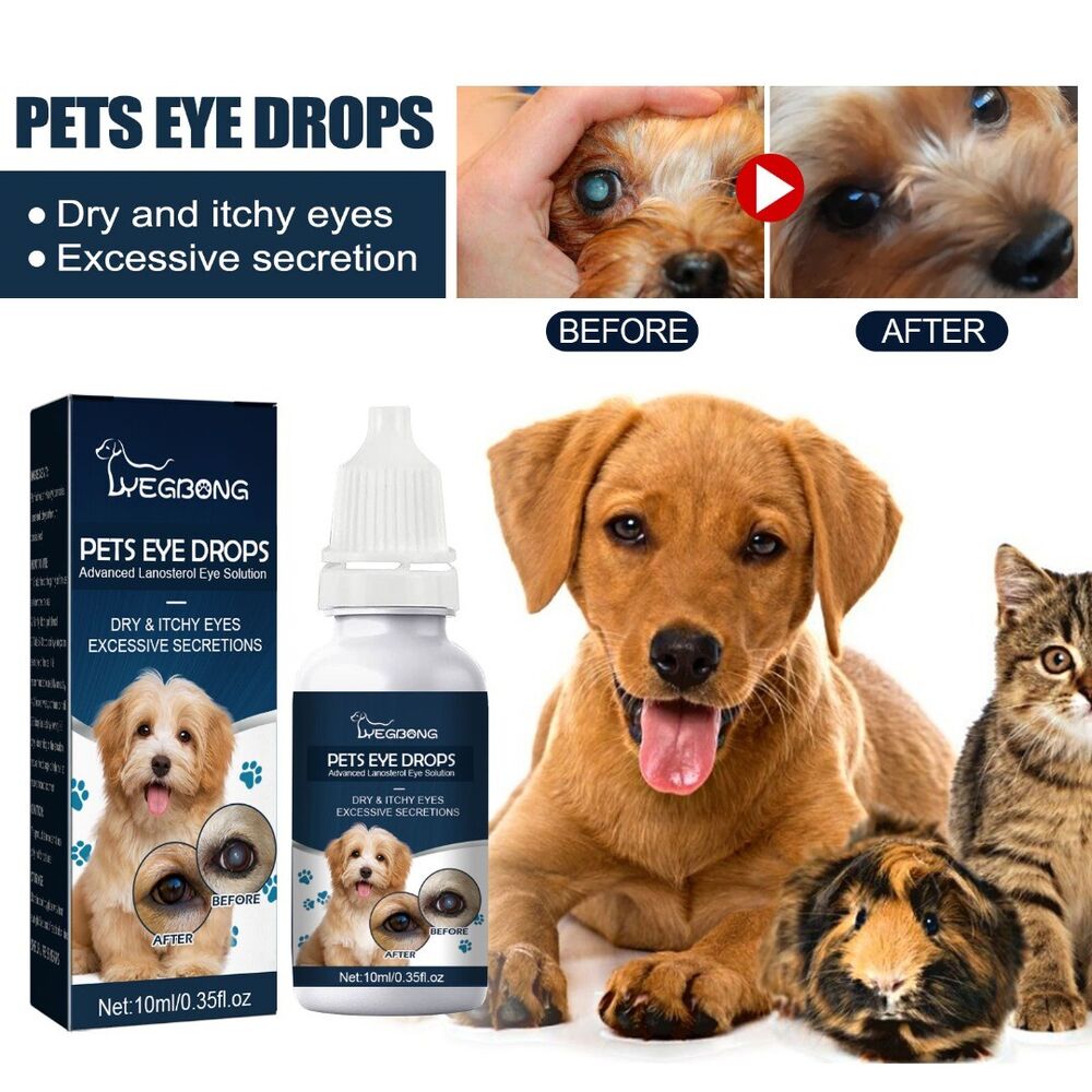 REAVET Augenpflege Für Hunde & Katzen 100ml