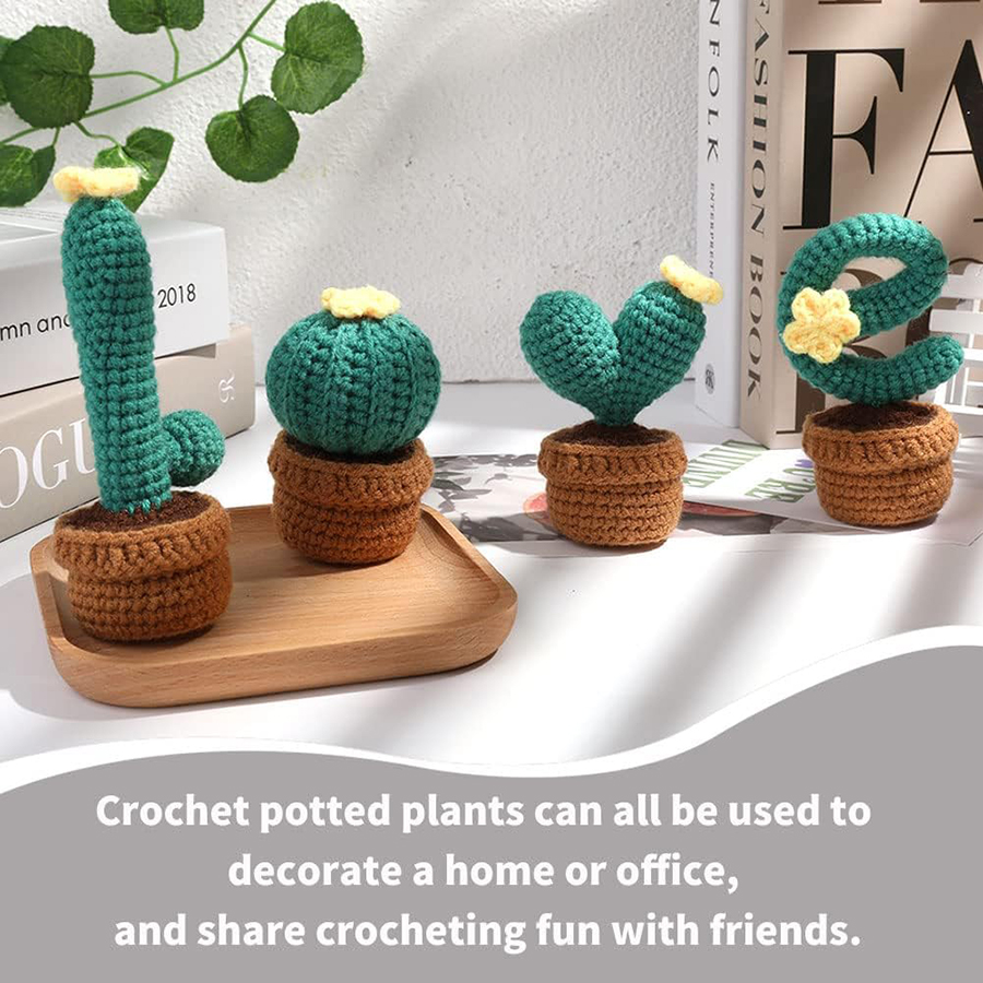 Love Shape Crochet Kit for Beginner,4PCS Potted Kit with Yarn DIY for Adult  Gift